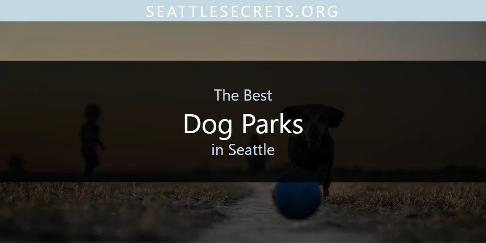 Seattle's Best Dog Parks [Updated 2025]