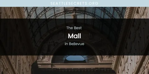 The Absolute Best Mall in Bellevue
