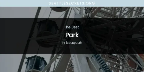 The Absolute Best Park in Issaquah