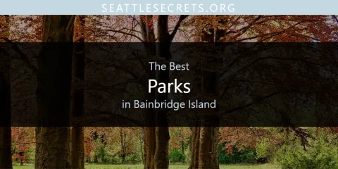 Best Parks in Bainbridge Island: Ultimate Guide