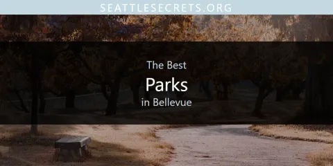 Guide to Best Parks in Bellevue
