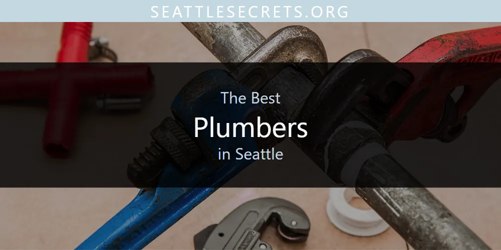 Seattle's Best Plumbers [Updated 2025]