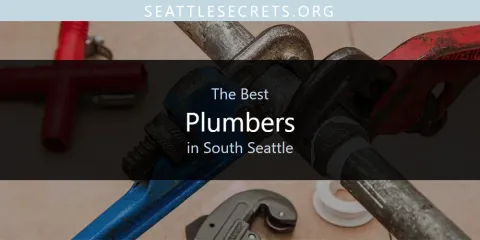 The Best Plumbers in South Seattle