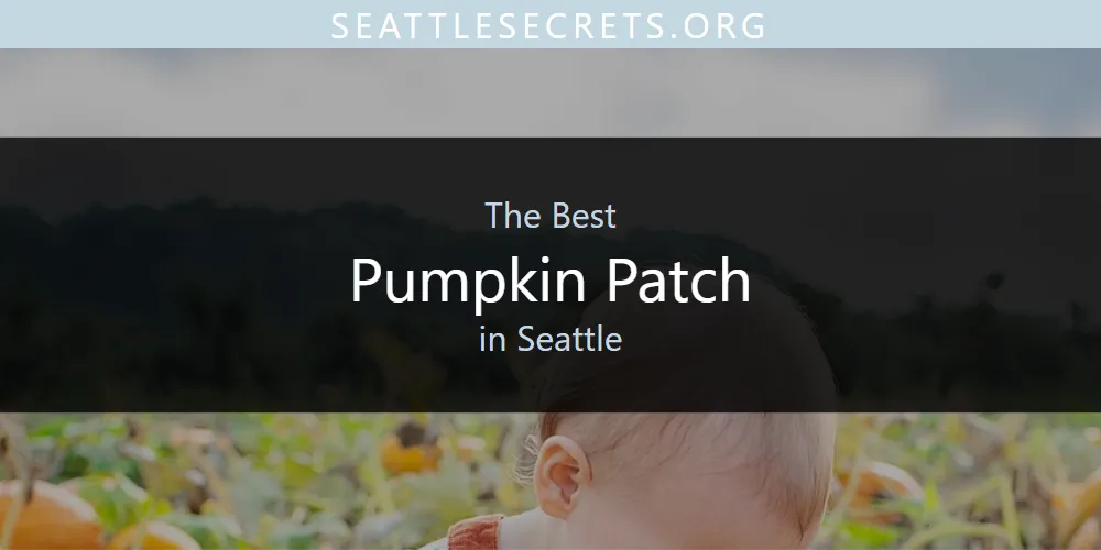 Seattle's Best Pumpkin Patch [Updated 2025]