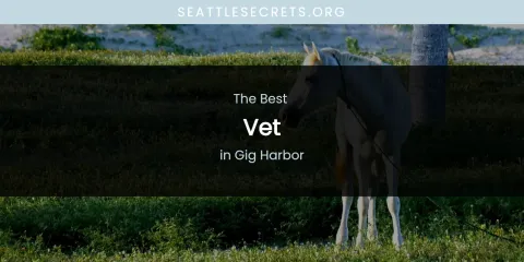The Absolute Best Vet in Gig Harbor