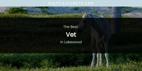 Lakewood's Best Vet
