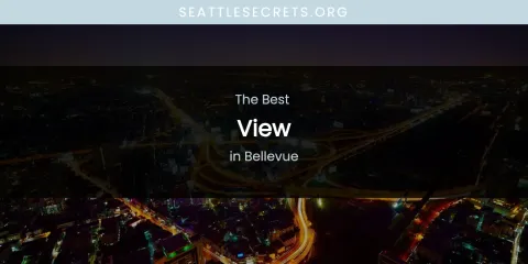The Absolute Best View in Bellevue